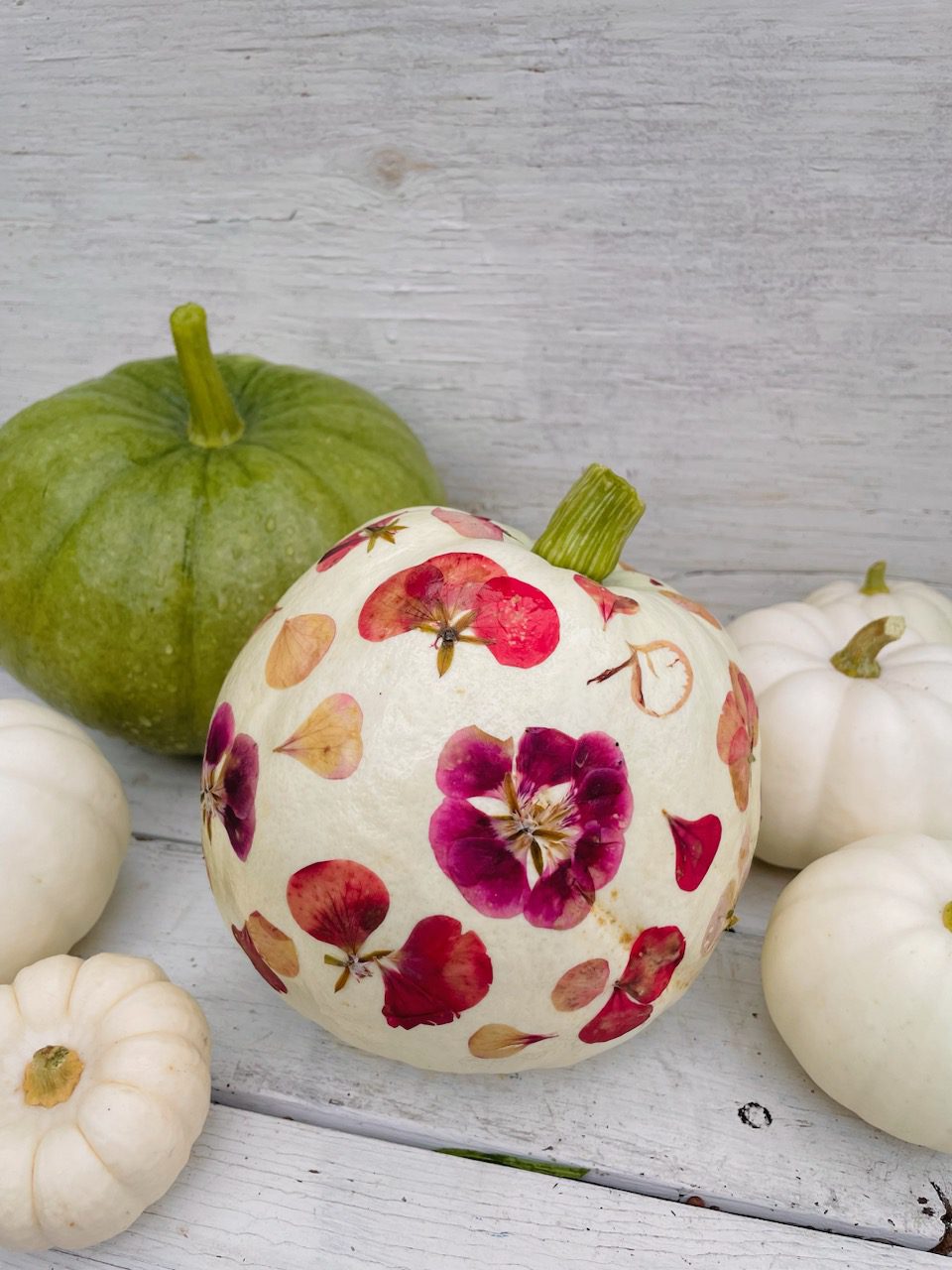 How to Make The Most Aesthetic Pressed Flower Pumpkin Decor Shifting
