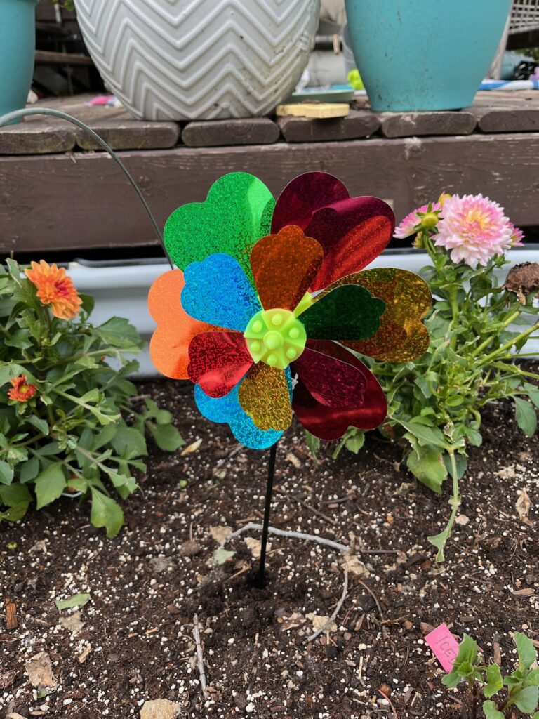 The Best Deterrents to Keep Pesky Birds Away from Plants Shifting Roots