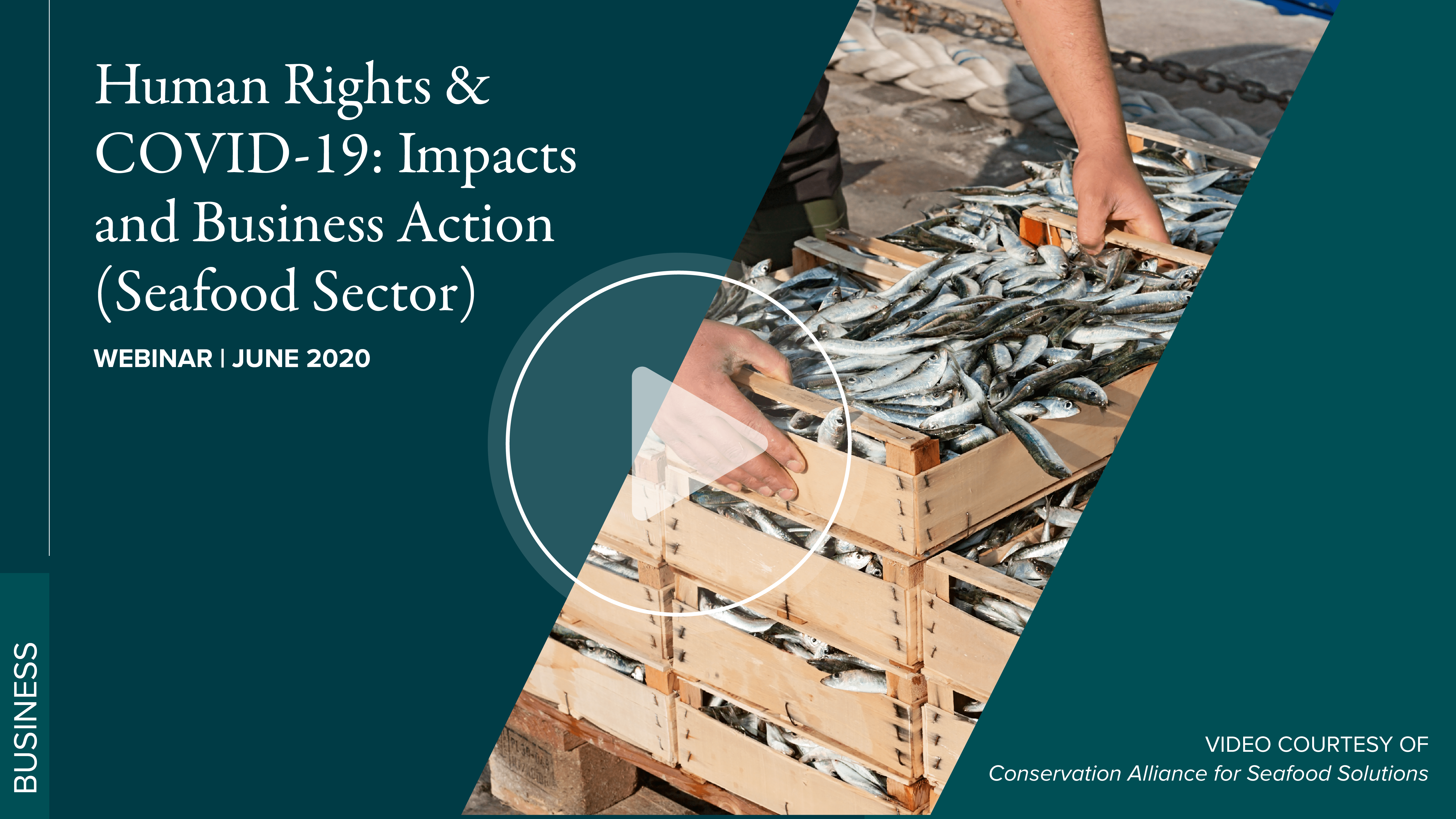 COVID19 and Human Rights Impacts and Business Action in the Seafood