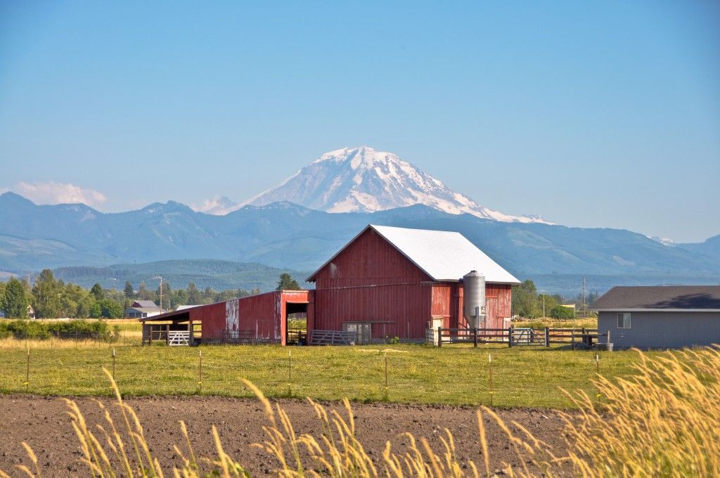 The 2021 Legislative Session was Expensive for Washington State Farmers