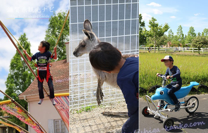 滋賀農業公園 ブルーメの丘 - 開園記念日最高でした！色んなイベントいっぱいで、京都明徳高等学校さんのマーチングパレー... | Facebook ブルーメの丘の営業時間や料金は？ 年パスで遊具が最大50%割引に！