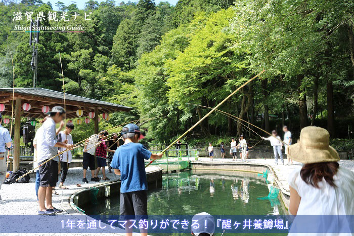 1年を通してマス釣りができる醒ヶ井養鱒場へ! 塩焼きにして頂きます!