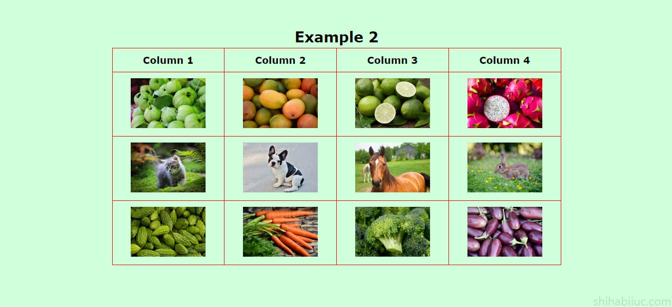 How to add images to an HTML table?