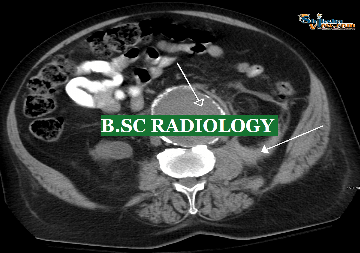 BMRIT Bachelor of Medical Radiology Top Colleges, Universities