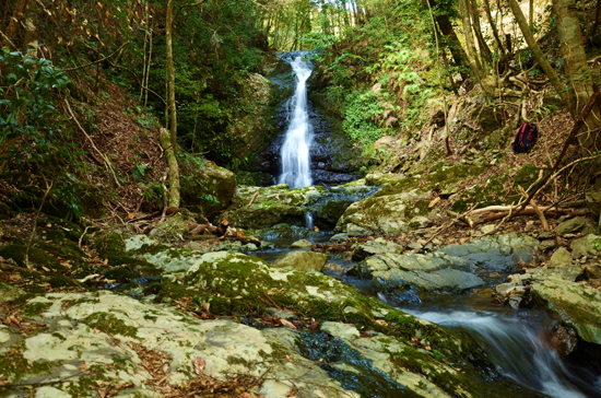 四万十川流域の山々 番外編 ほけが森源流域の男蛇渕の滝 公益財団法人 四万十川財団