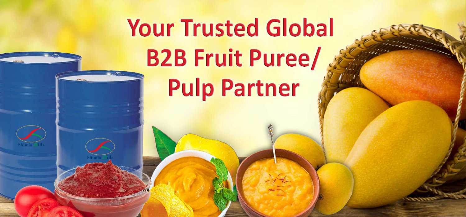 Your Trusted Global B2B Fruit Puree/Pulp Partner