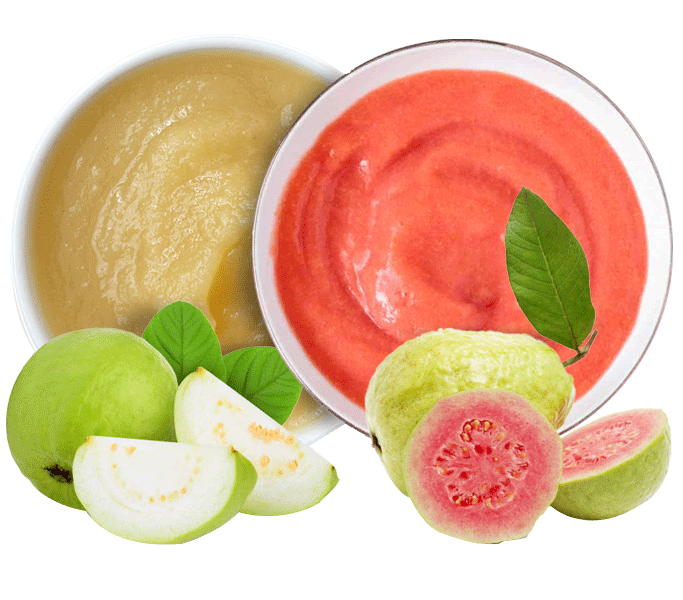 Fruit Pulp Puree Shimla Hills