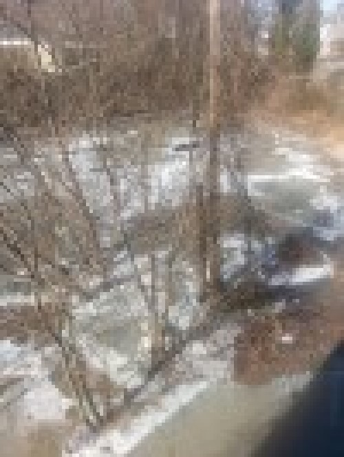 Are WEB contests legit? The World Ends With Me