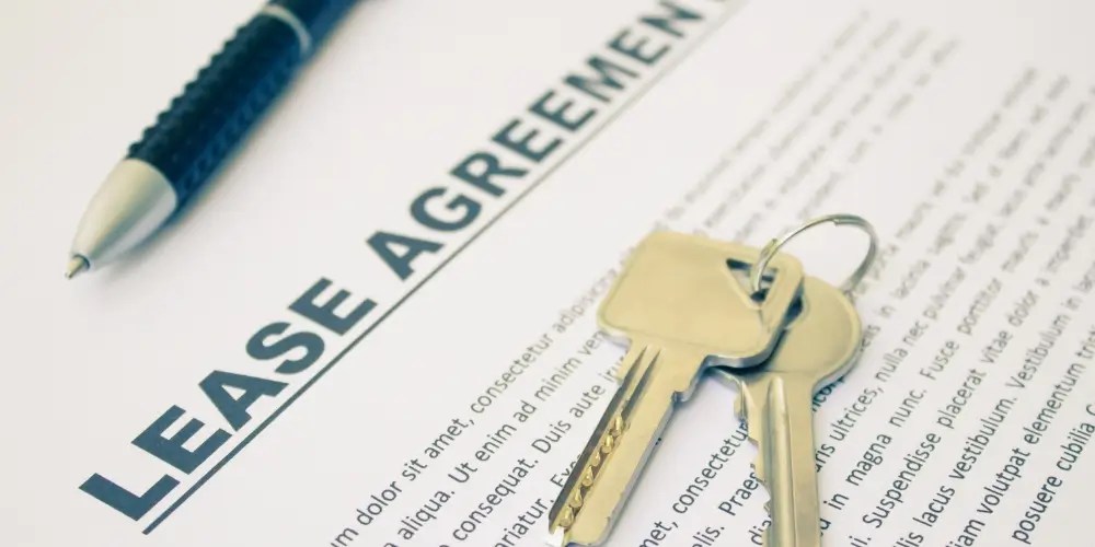 Are Landlords Responsible for Gutter Cleaning? Landlord or Tenant (2024)