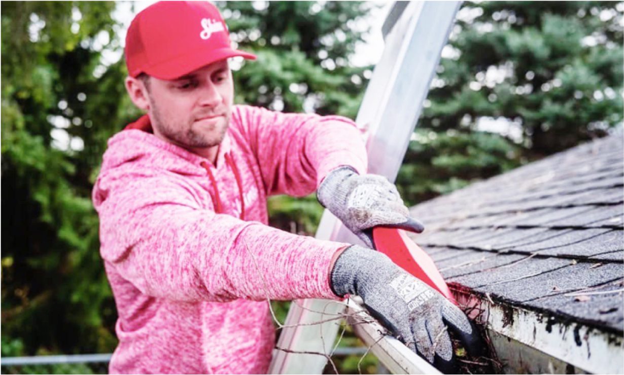 Professional Gutter Cleaning Services Near You Shine