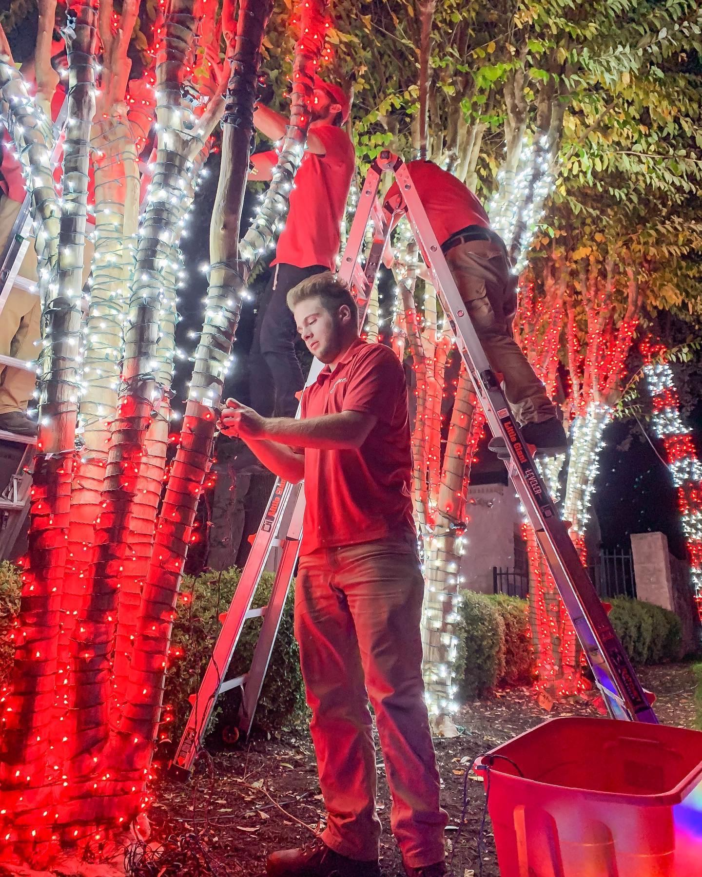 Christmas & Holiday Light Installation from Shine Holiday Lighting