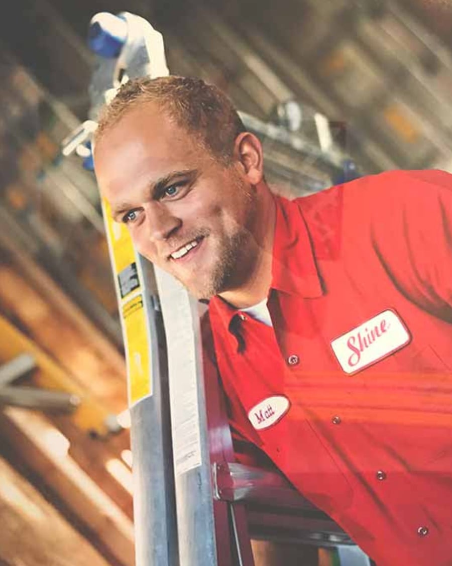 Palm Tree Christmas Lights The Complete Guide ; Shine Window Cleaning