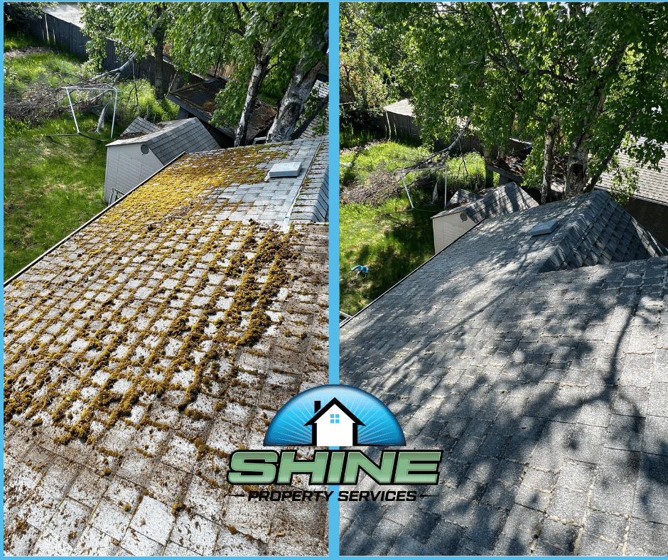 TopRated Moss Removal Shine Property Services