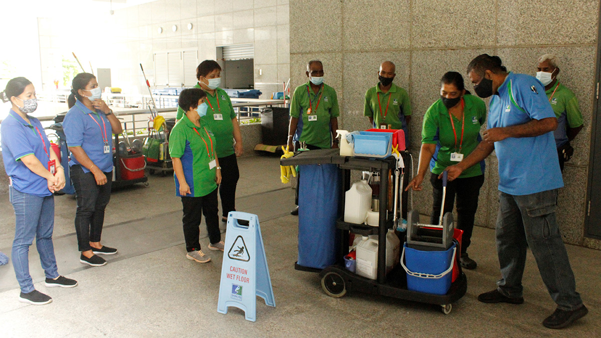 Training Services Shiners