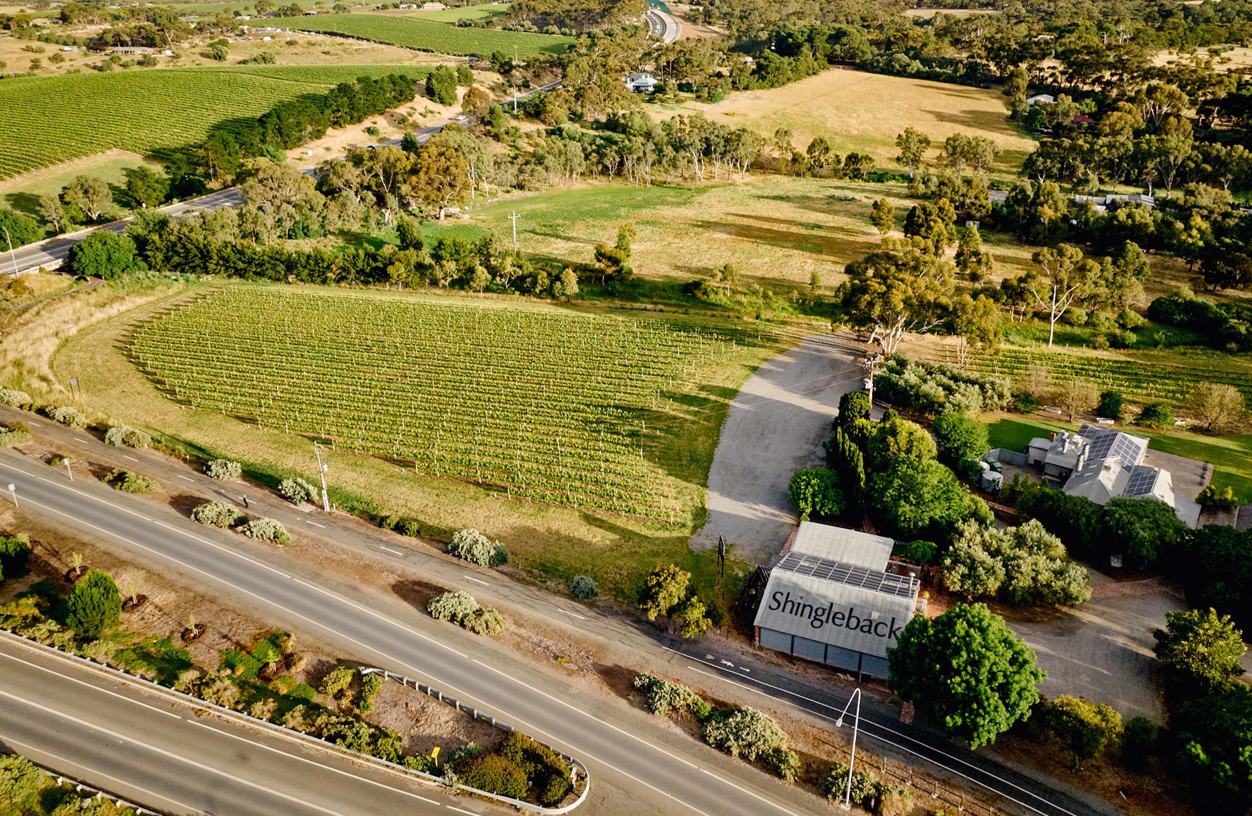 Vintage and Classic 2024 Chrysler Car Club at Shingleback shingleback