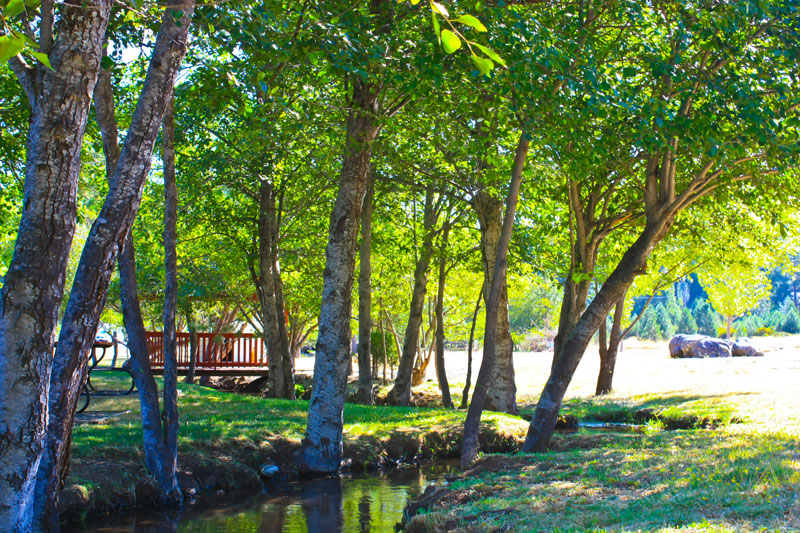 Shingletown Library Shingletown, CA