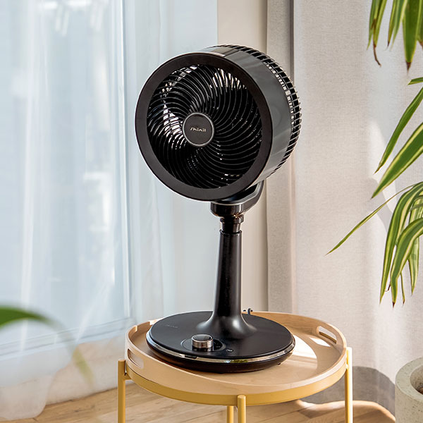 Korean Electric Fan