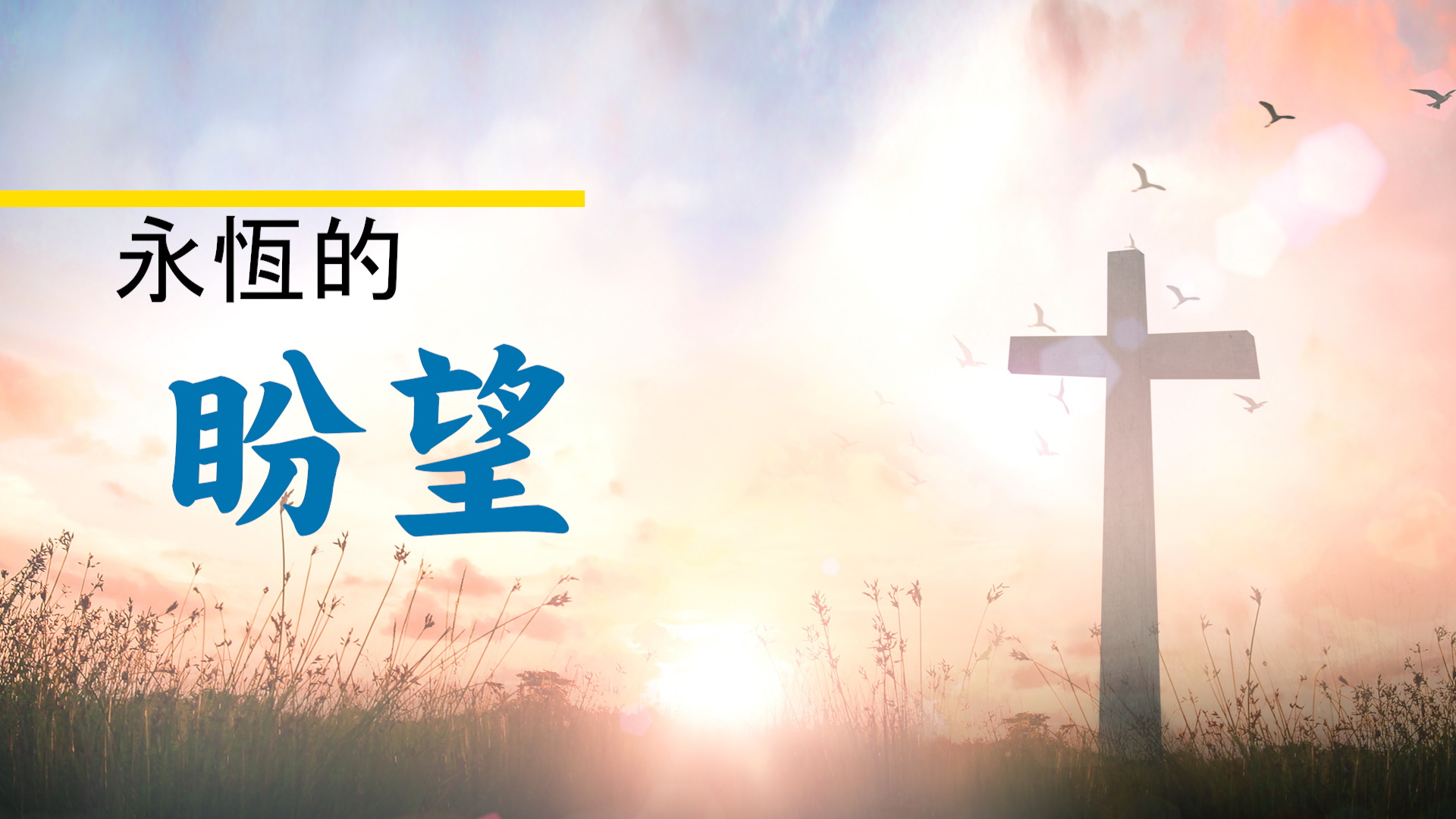 信望愛系列 - 永恆的盼望 - 晴天下 ShiningMeUp