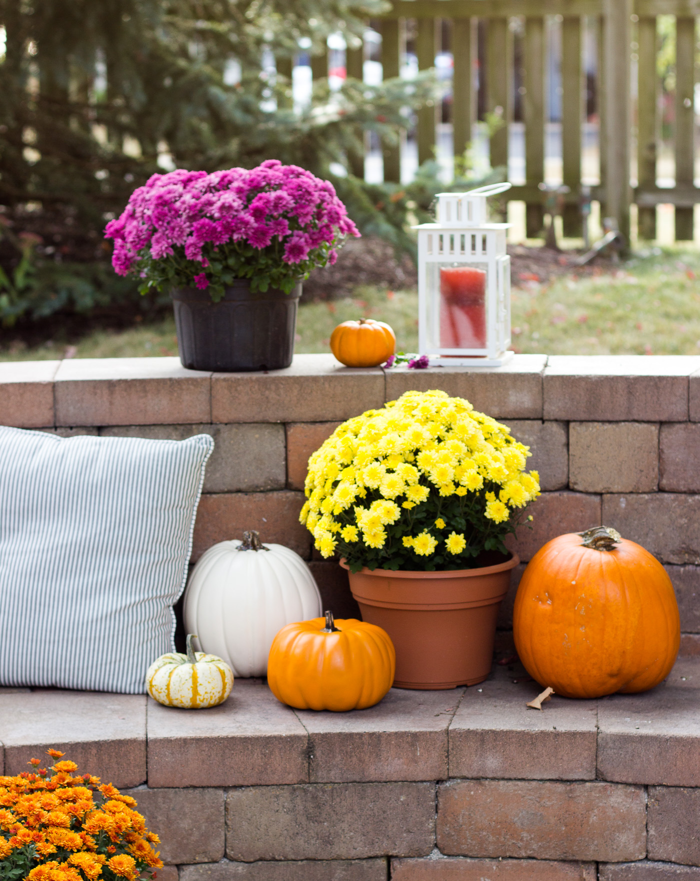 Our Fall Backyard Shining on Design