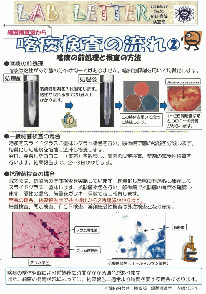 【LAB LETTER No.95】喀痰検査について② ブログ｜山形県立新庄病院研修医募集サイト