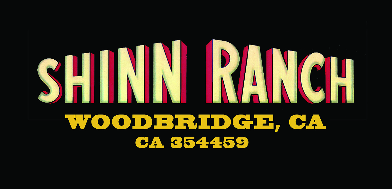 Shinn Ranch » Shinn Ranch Trucking