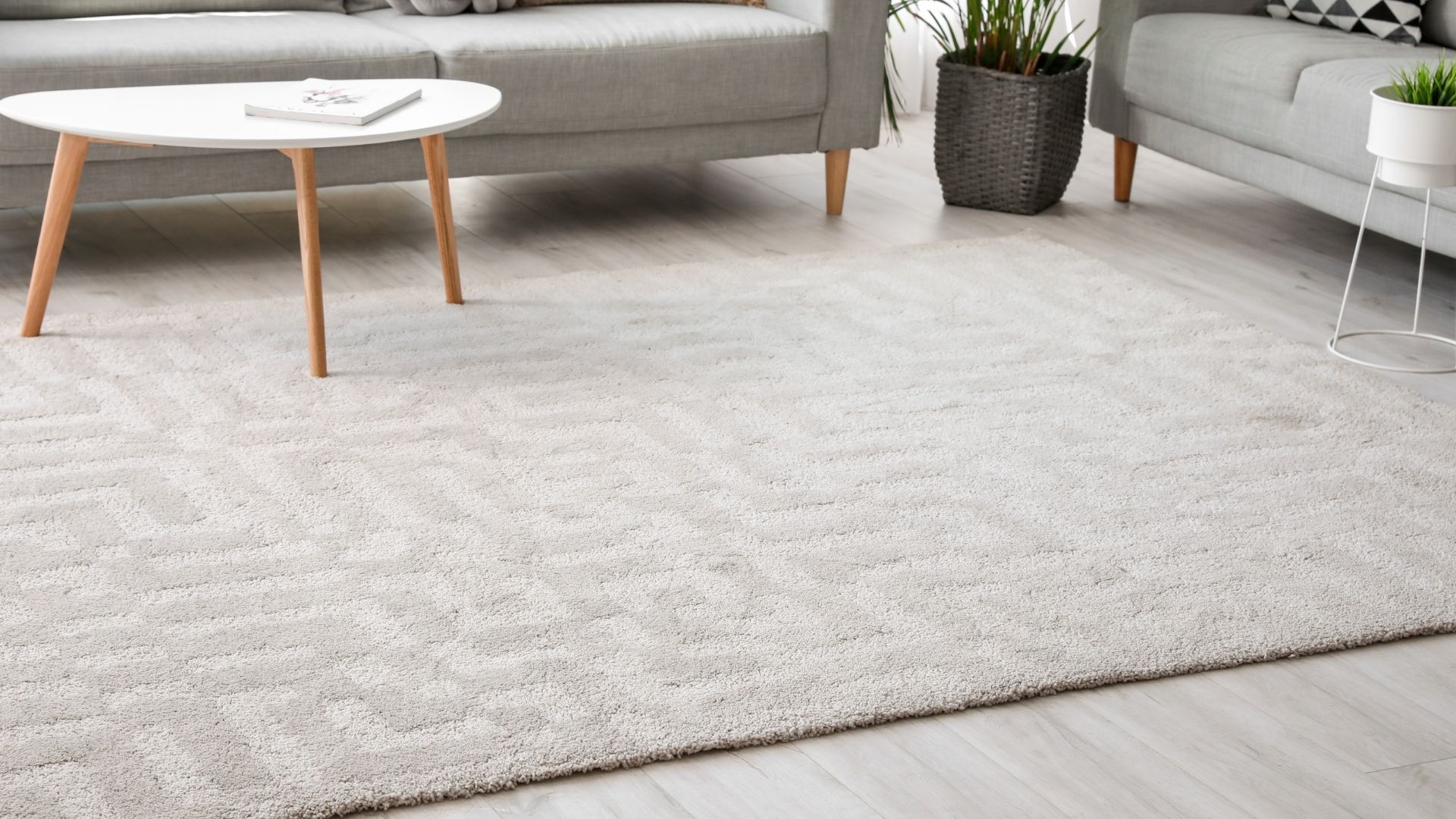 How Much Does it Cost to Clean a Carpet in Bowie MD?