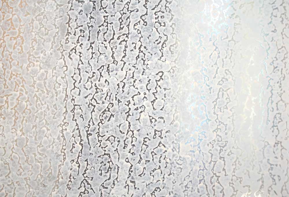 How to Remove Hard Water Stains from a Refrigerator Water Dispenser Tray Shiny Modern