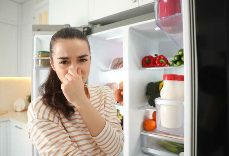 Help! My Refrigerator has a Chemical Smell Shiny Modern