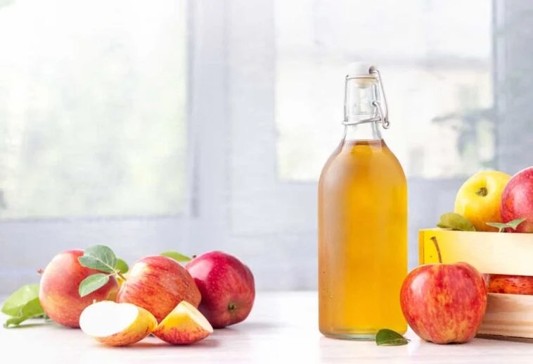 How to Clean Your Dishwasher with Vinegar Shiny Modern