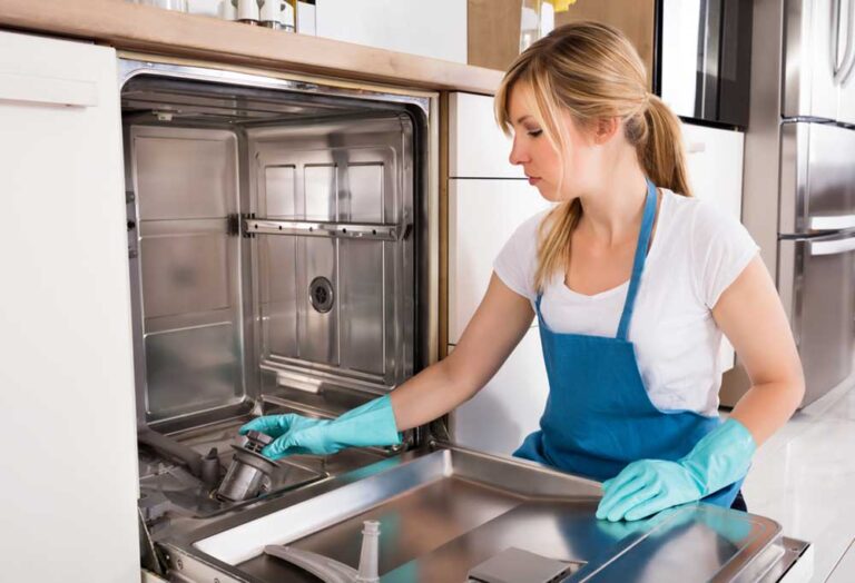 How to Clean a Dishwasher with Mold Shiny Modern