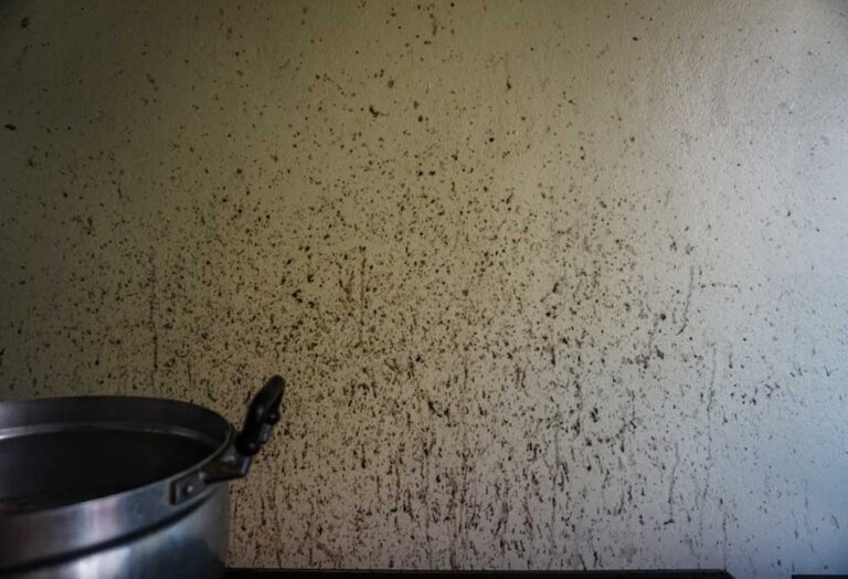 How to Clean Grease off Kitchen Walls Shiny Modern