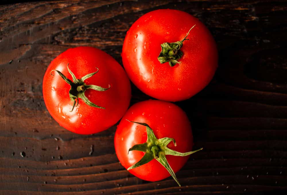 Can You Put Tomatoes in a Garbage Disposal Shiny Modern