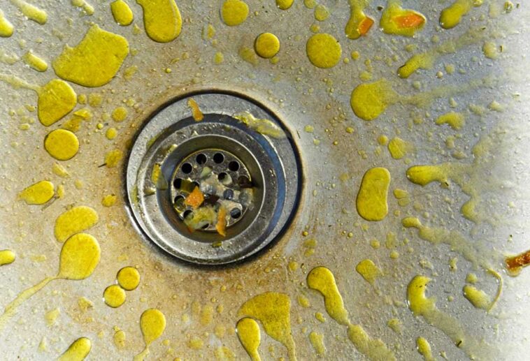 Can You Put Grease in a Garbage Disposal Shiny Modern