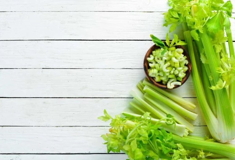 Can You Put Celery in a Garbage Disposal Shiny Modern