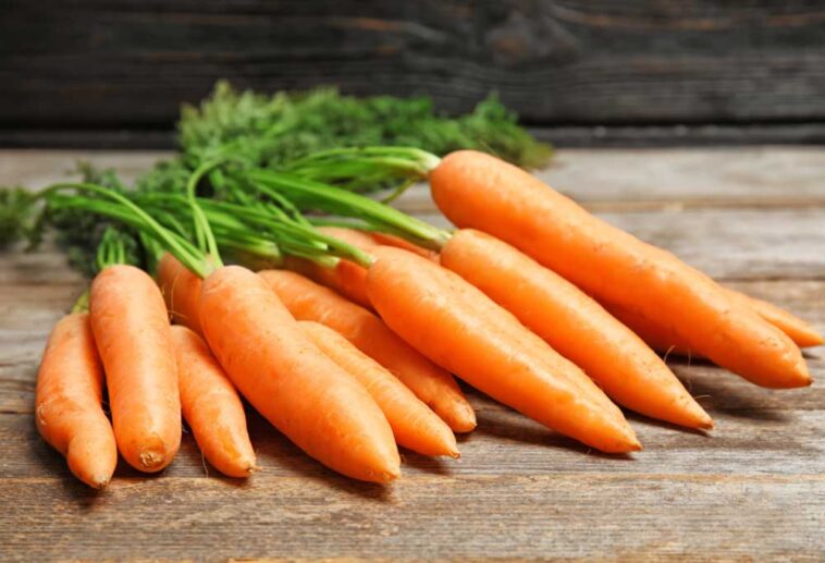 Can You Put Carrots in a Garbage Disposal Shiny Modern