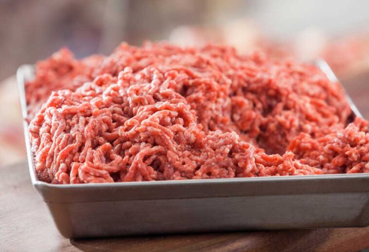 Can You Put Ground Beef in a Garbage Disposal Shiny Modern