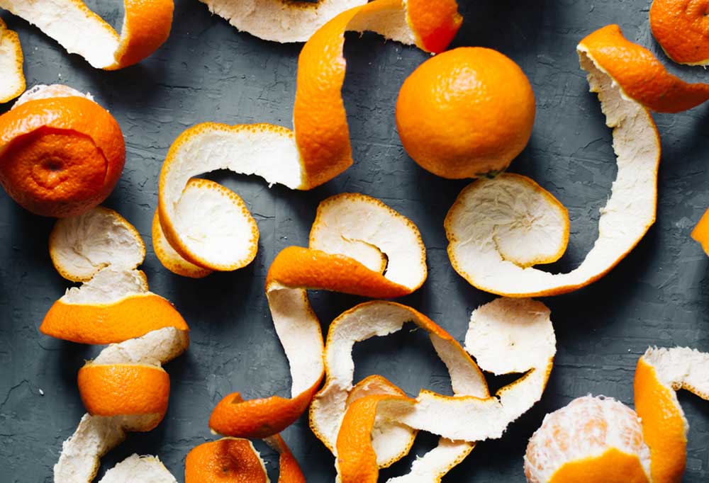 Can You Put Orange Peels in a Garbage Disposal? Shiny Modern