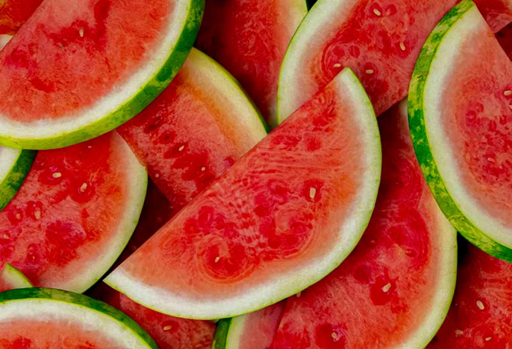 Can You Put Watermelon Rinds in a Garbage Disposal Shiny Modern