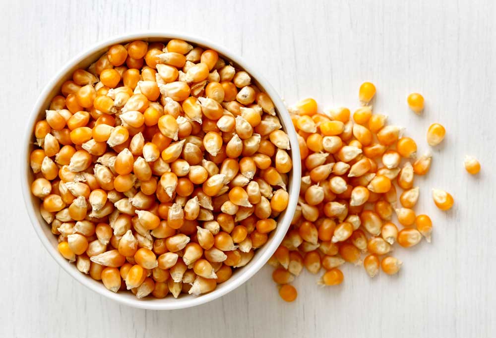 Can You Put Popcorn Kernels in a Garbage Disposal Shiny Modern