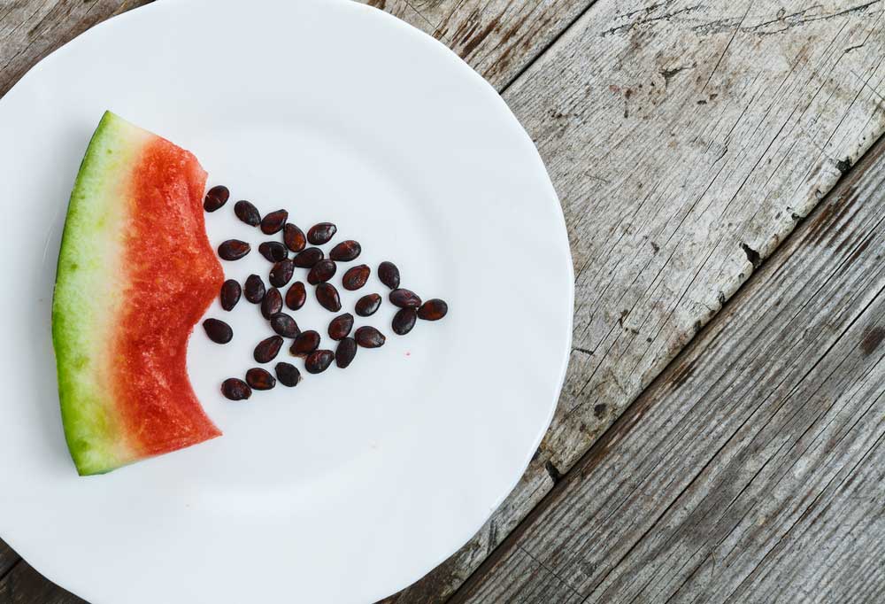 Can You Put Watermelon Seeds in a Garbage Disposal Shiny Modern