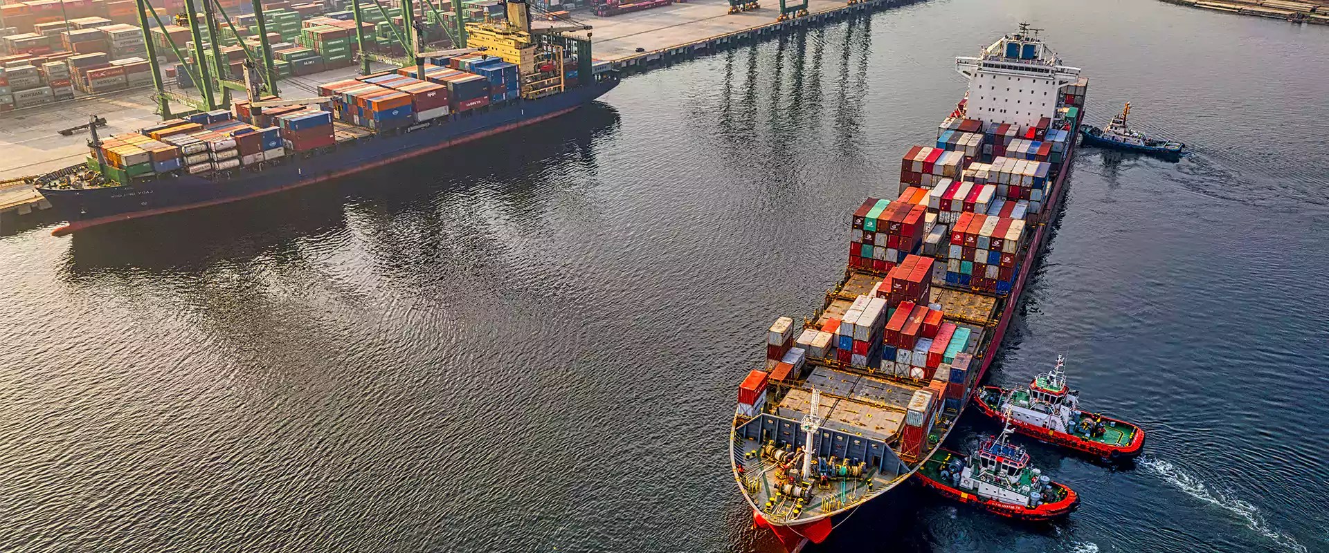 Ship Supply Spain ShipGoldChandler 7/24 Best Price