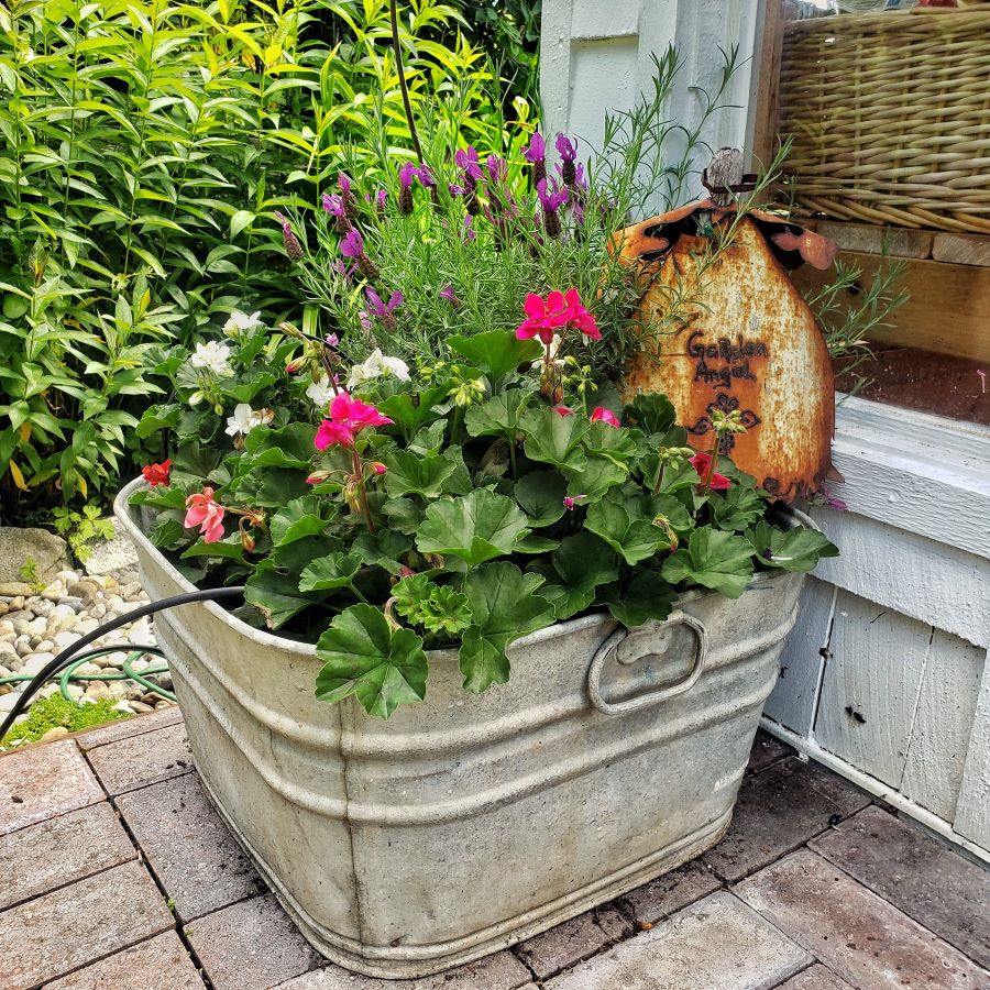 Creative Flower Container Ideas Shiplap and Shells