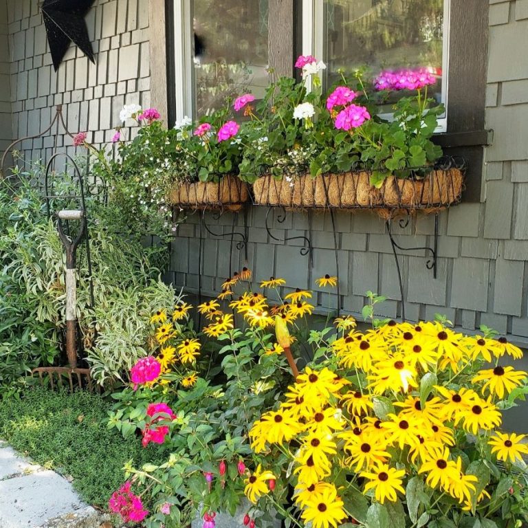 How to Create a Charming Country Cottage Garden Shiplap and Shells