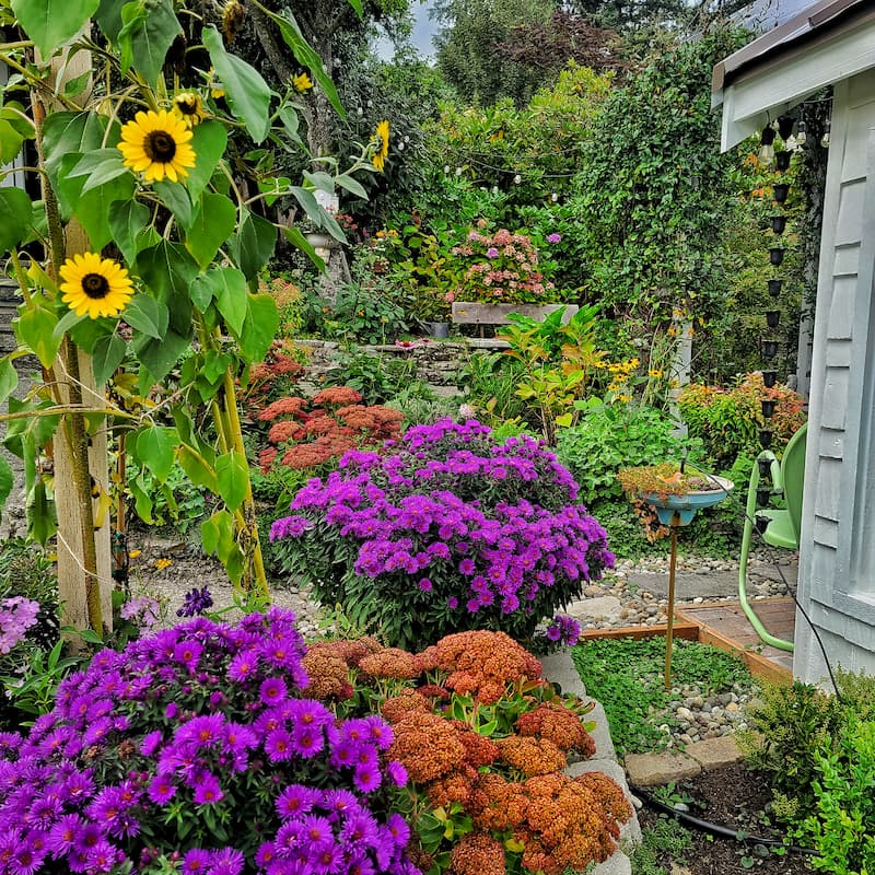 September Gardening Tips and ToDos for the Pacific Northwest Shiplap and Shells