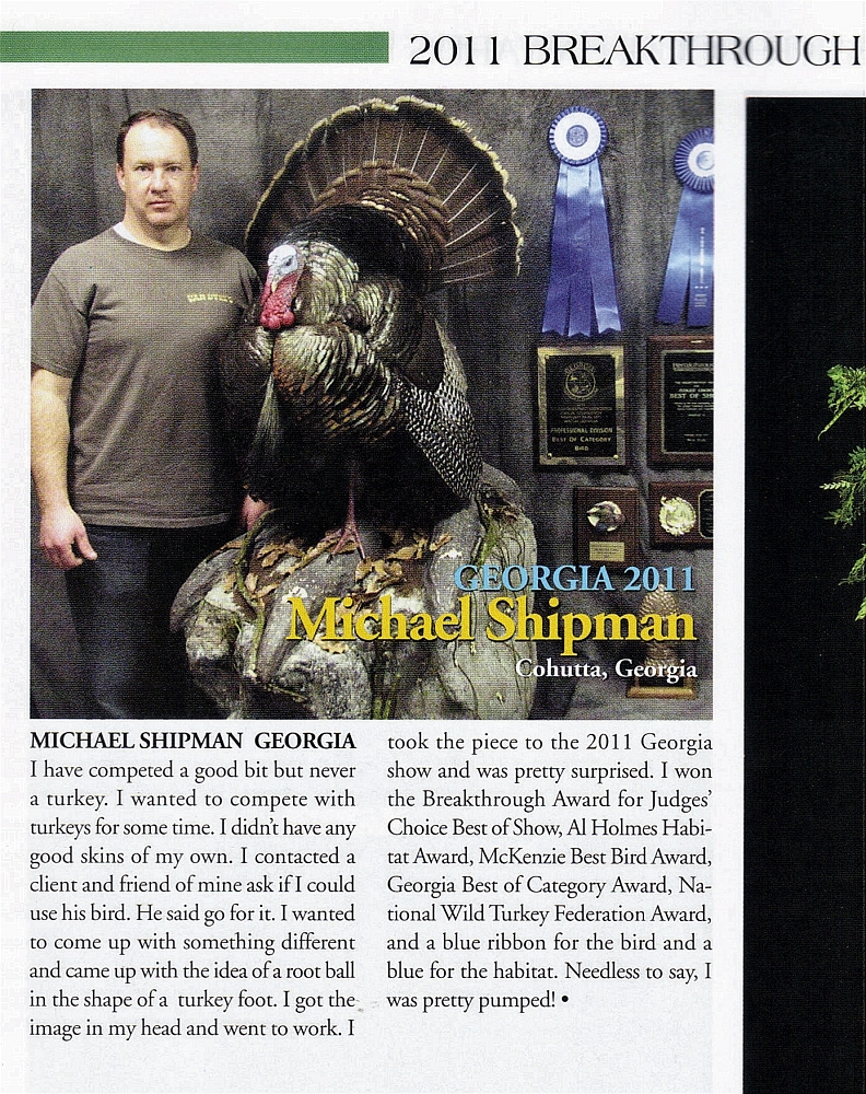 Shipman's Taxidermy Studio
