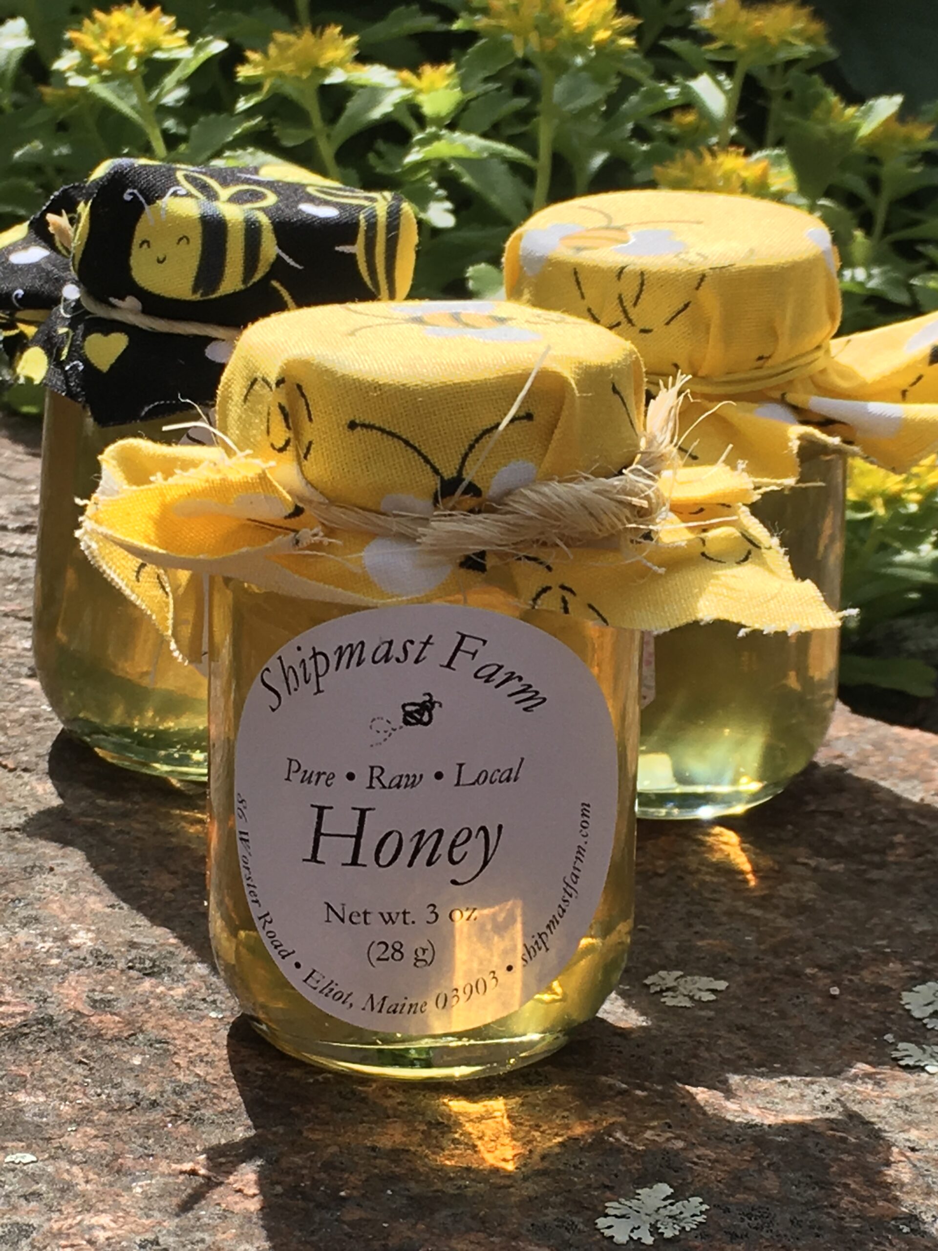 3 oz. mini mason jar Shipmast Farm