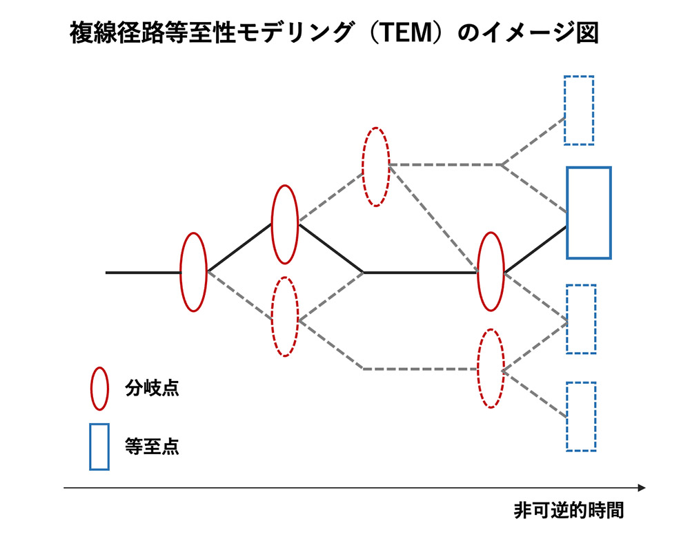 不妊をめぐるライフスタイル ナラティブ・アプローチから見えてきた“治療や心の背景にある物語” shiRUto（シルト）