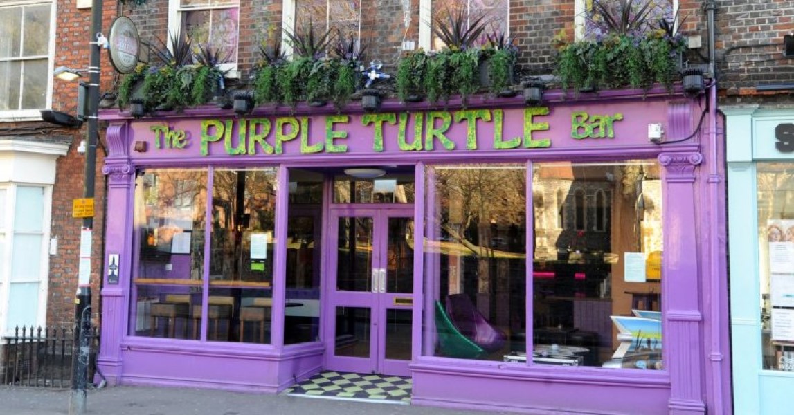 Purple Turtle Shit & Not Shit Pubs in Reading