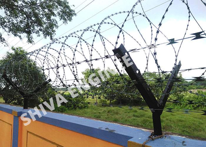 Punched Tape Concertina Coil Punched Tape Coil Manufacturer