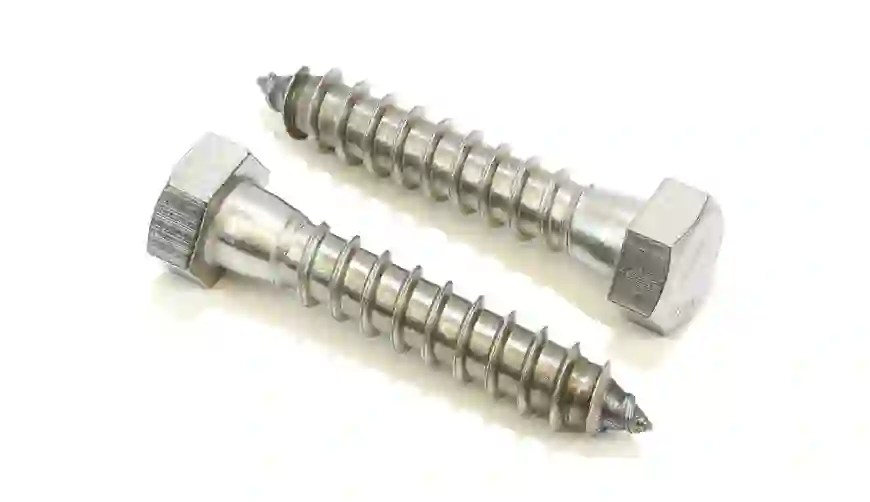 Coach Screw Shivalik And Fittings